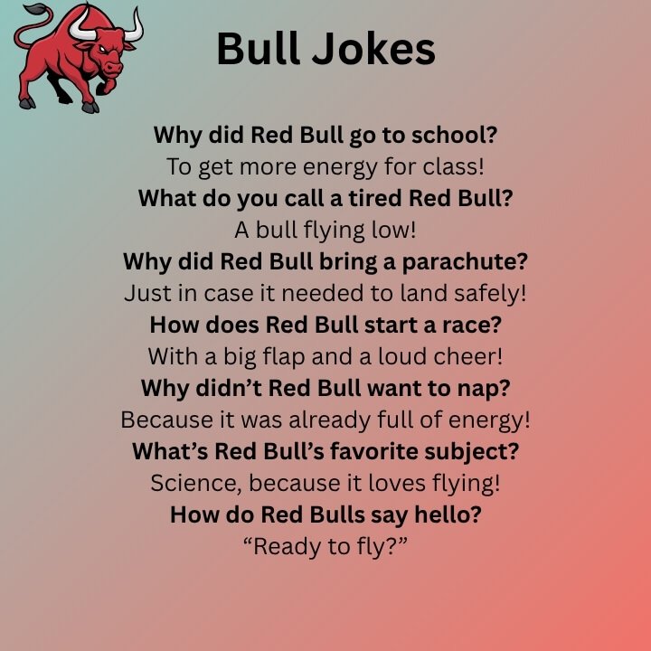 Bull Jokes