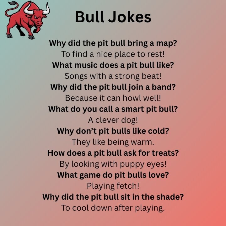 Bull Jokes