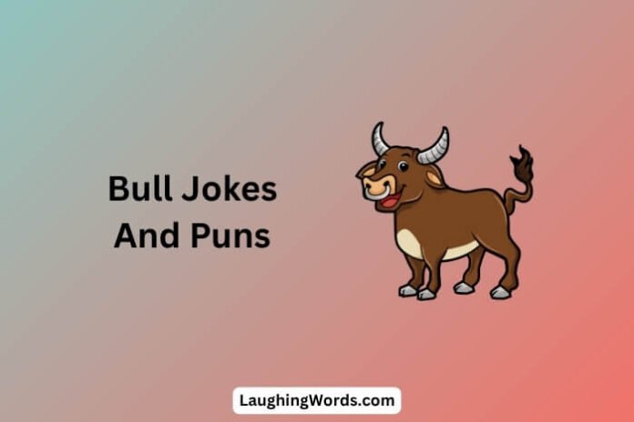 Bull Jokes