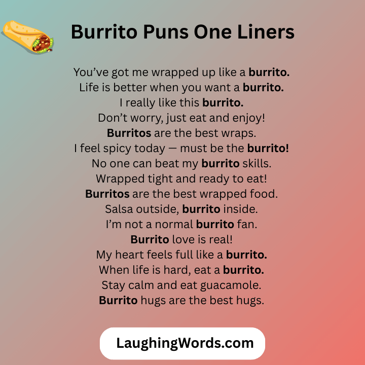 Burrito Puns One Liners 