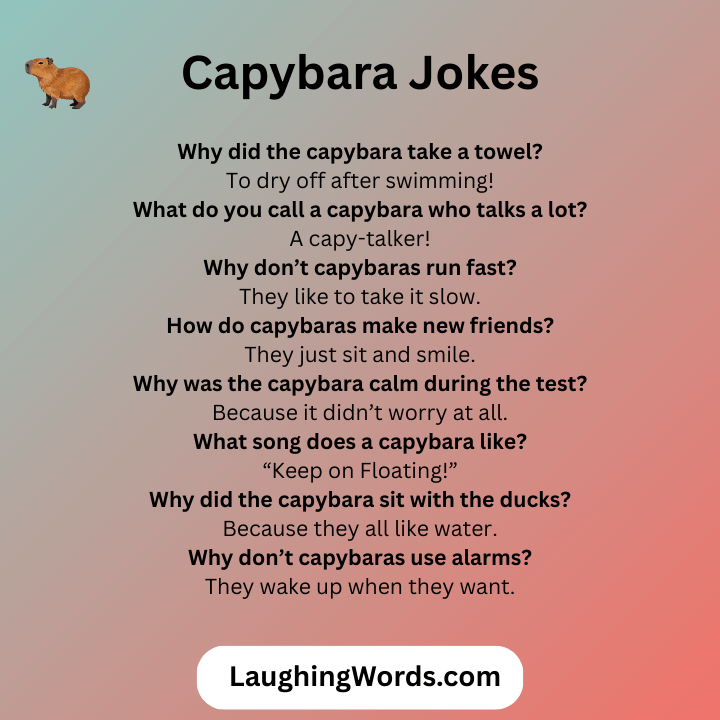 Capybara Jokes 