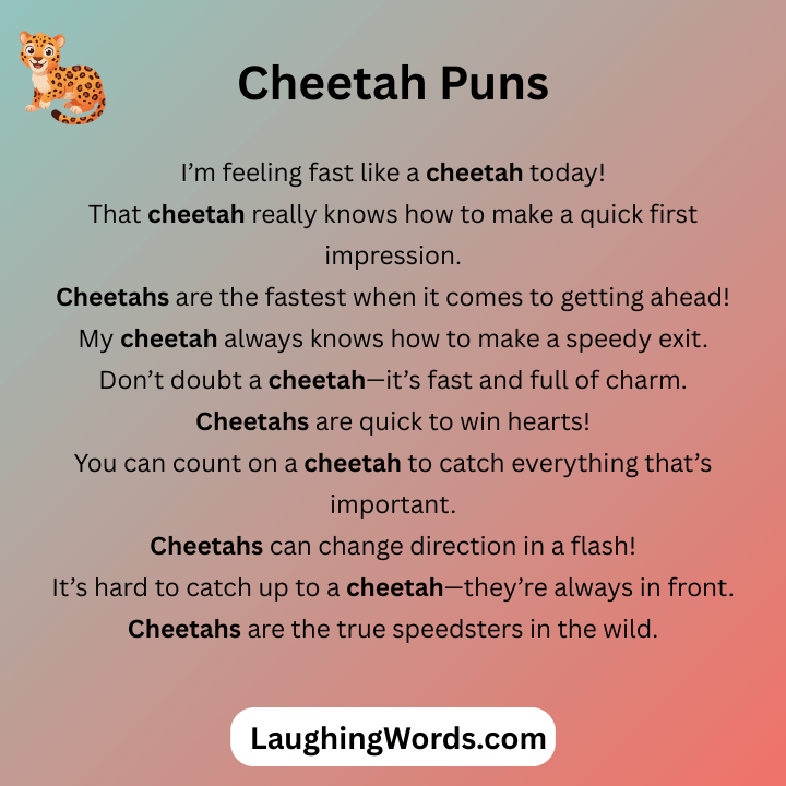 Cheetah Puns 