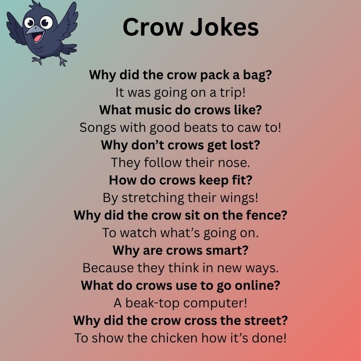 Crow Jokes