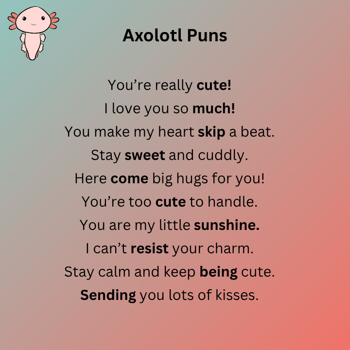 Cute Axolotl Puns
