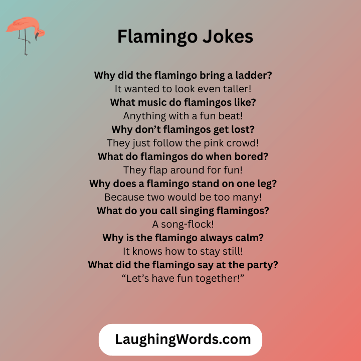 _Flamingo Jokes