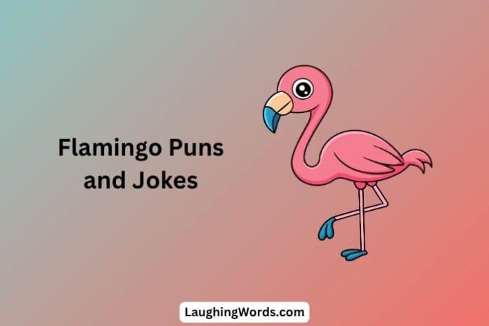 Flamingo Puns