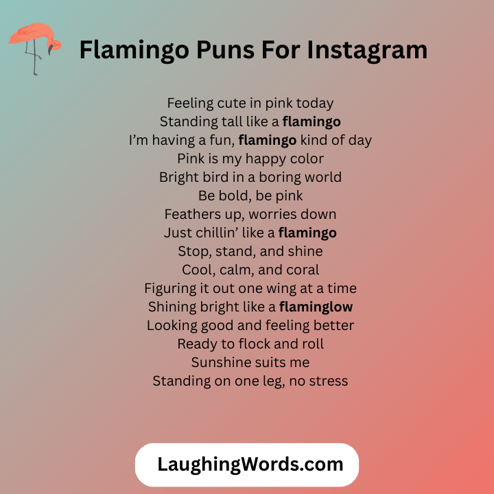 _Flamingo Puns For Instagram