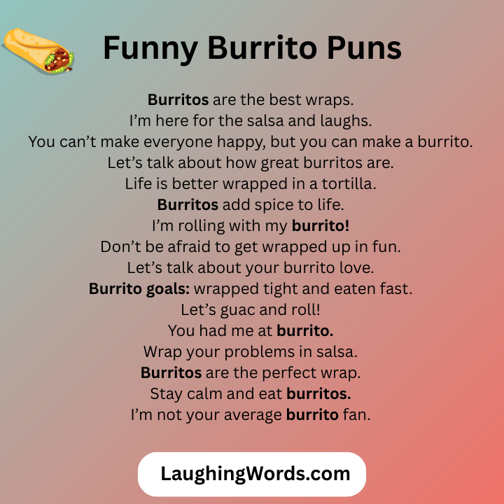 Funny Burrito Puns
