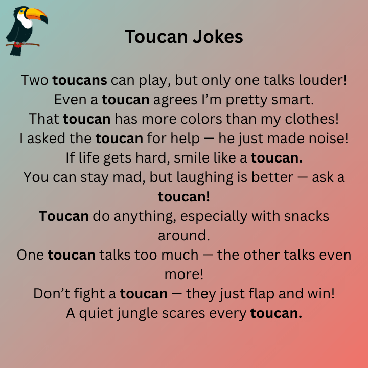 Funny Toucan Puns