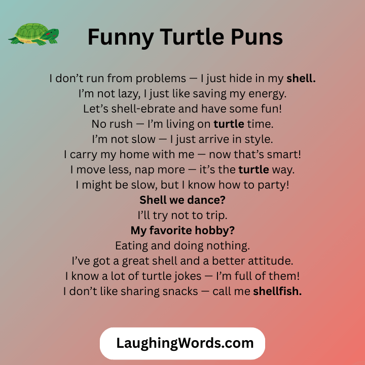 Funny Turtle Puns