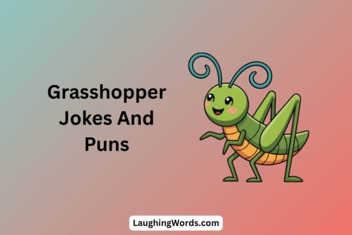 Grasshopper Jokes