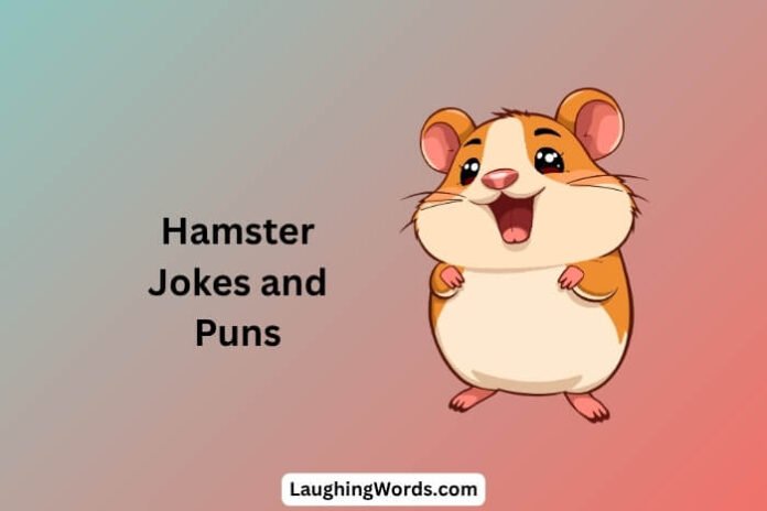 Hamster Jokes
