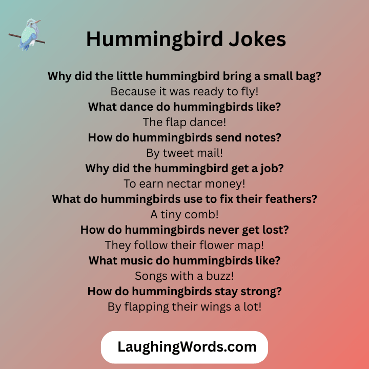 Hummingbird Jokes