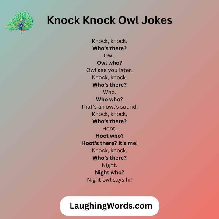 Knock Knock Owl Jokes