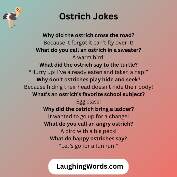 Ostrich Jokes