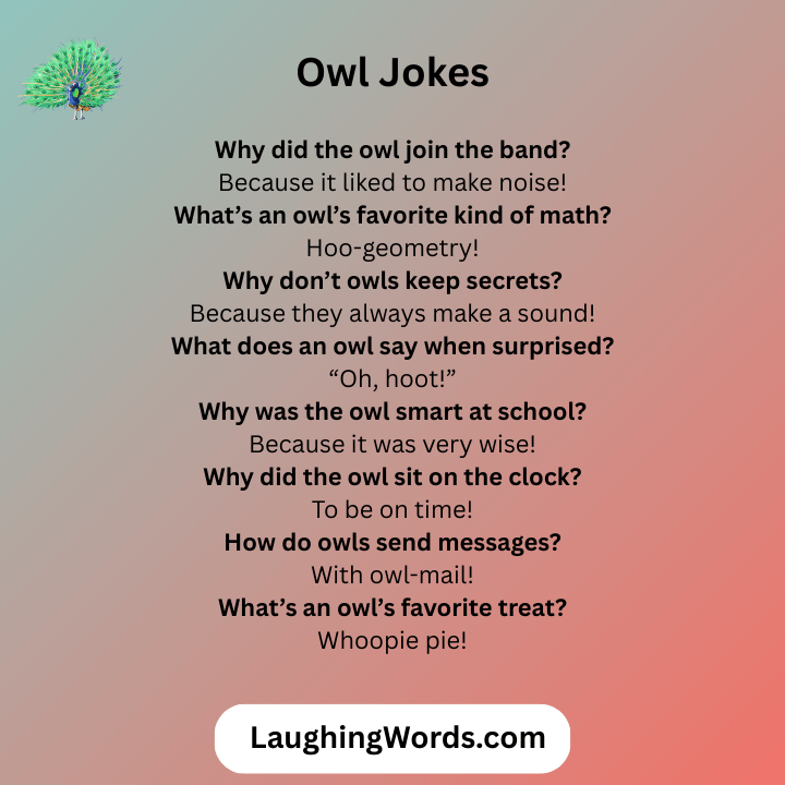 Owl Jokes