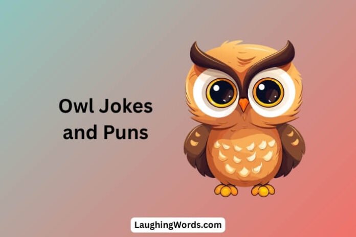 Owl Jokes
