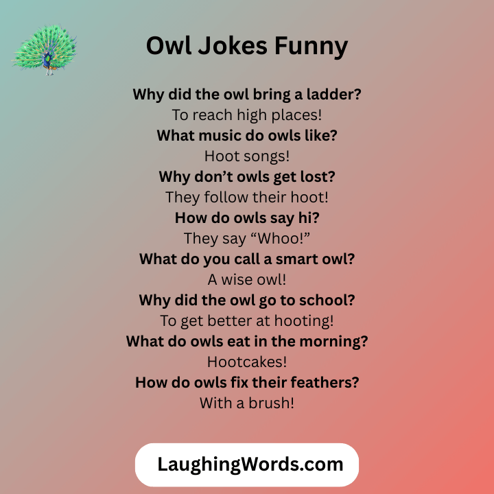 Owl Jokes Funny