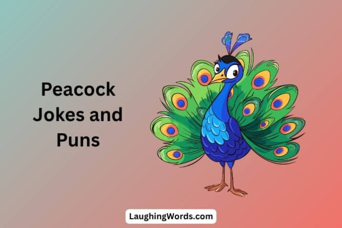 Peacock Jokes