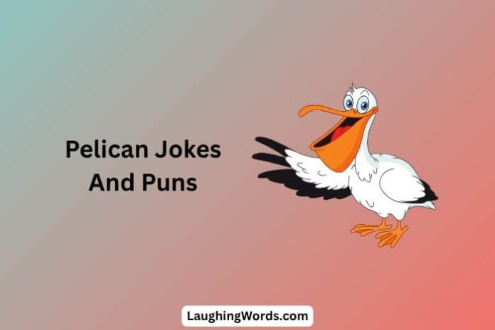Pelican Jokes