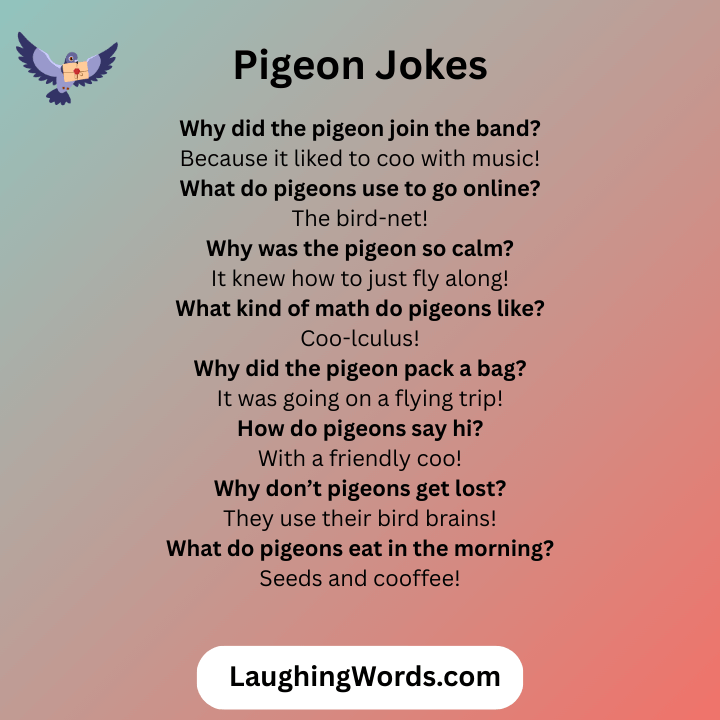 Pigeon Jokes