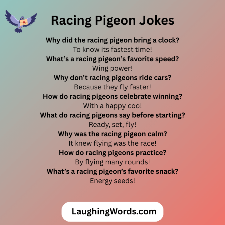 Racing Pigeon Jokes