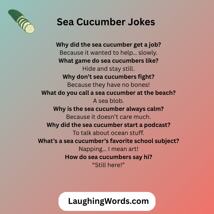 Sea Cucumber Jokes