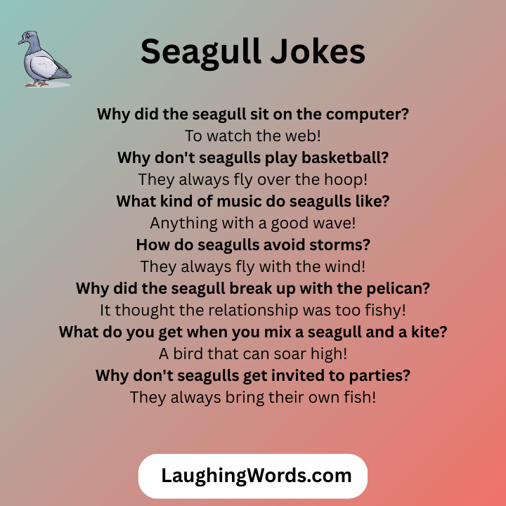 Seagull Jokes
