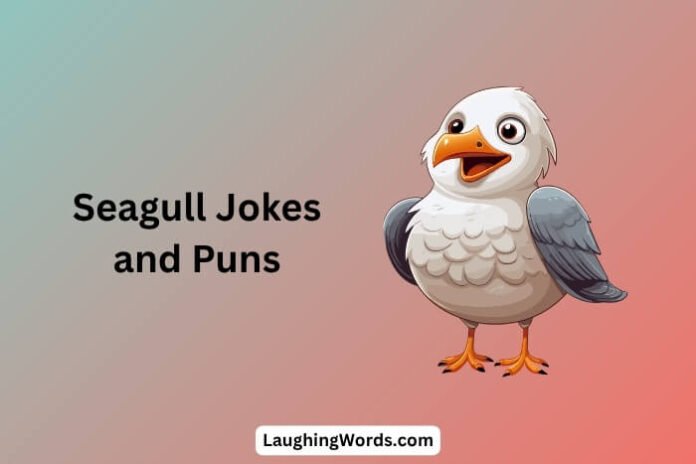 Seagull Jokes