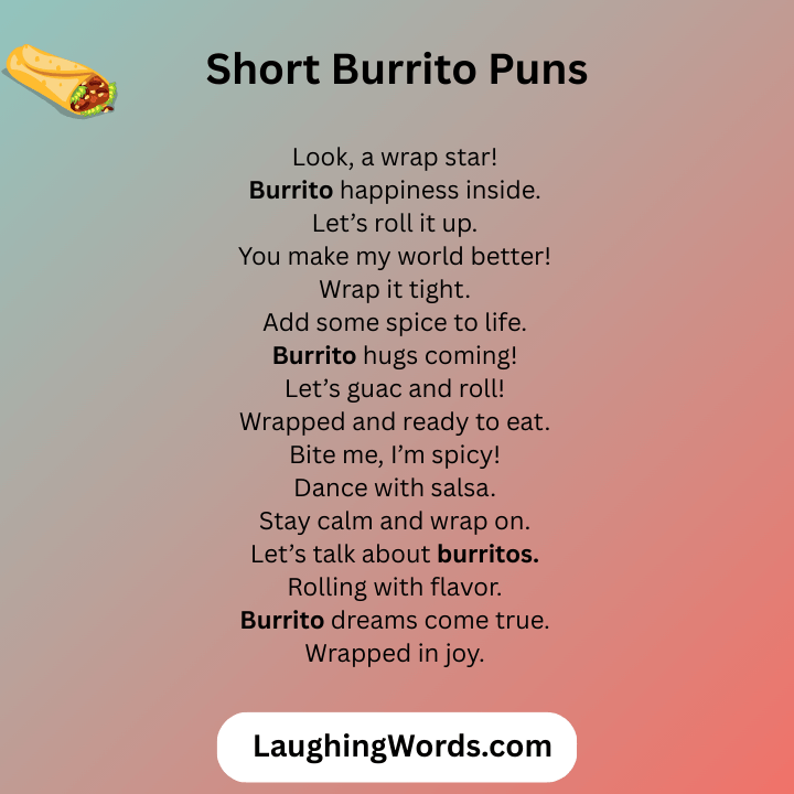 Short Burrito Puns