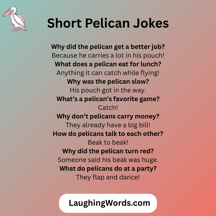 Short Pelican Jokes