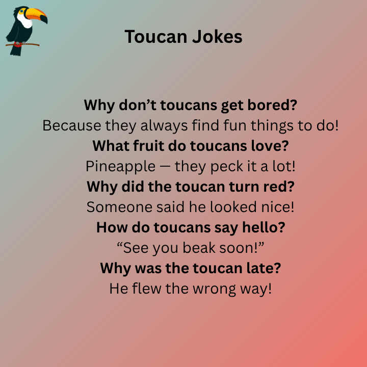 Short Toucan Jokes