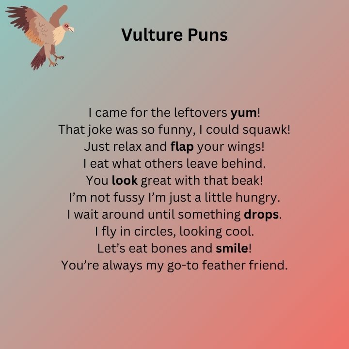 Short Vulture Puns