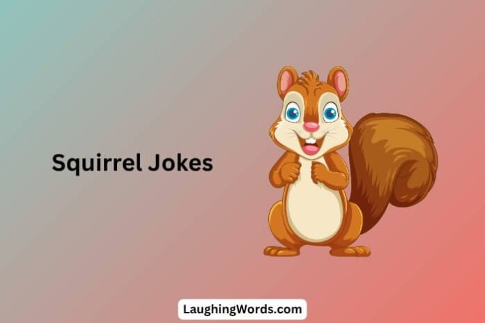 Squirrel Jokes