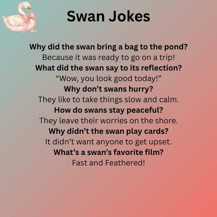 Swan Jokes
