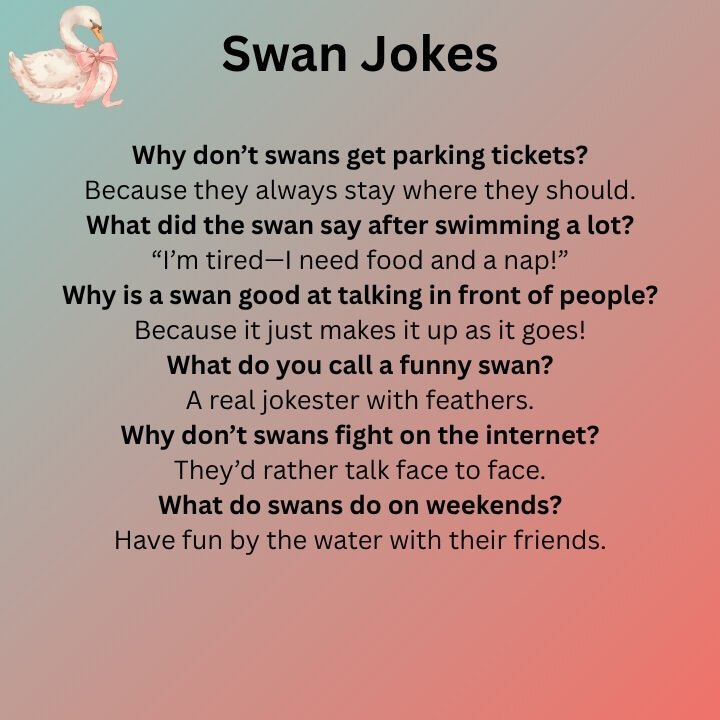 Swan Jokes