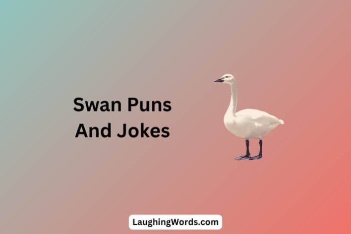 Swan Puns