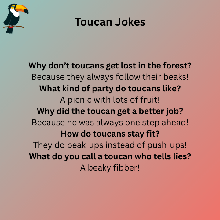 Toucan Jokes
