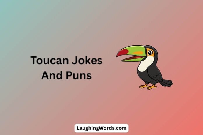 Toucan Jokes