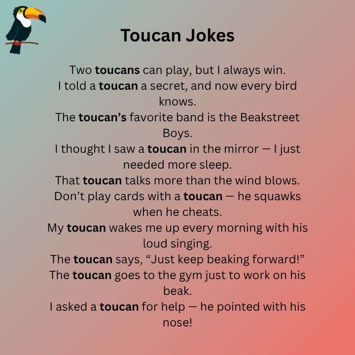 Toucan Jokes One Liners