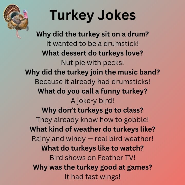 Turkey Jokes