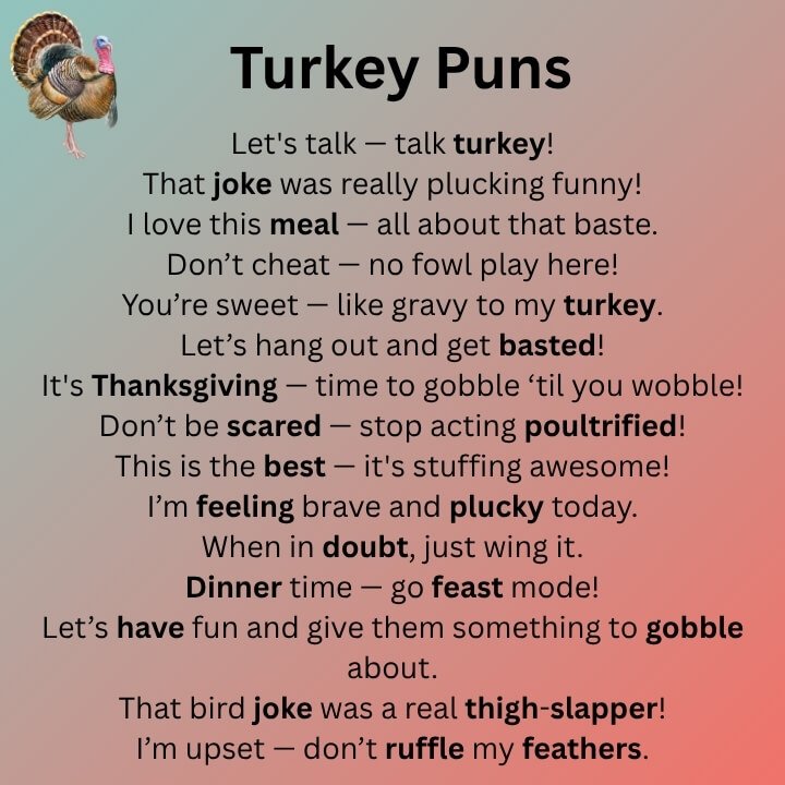 Turkey Puns