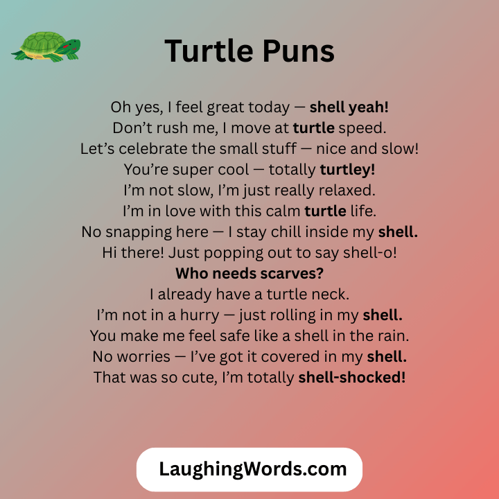 Turtle Puns
