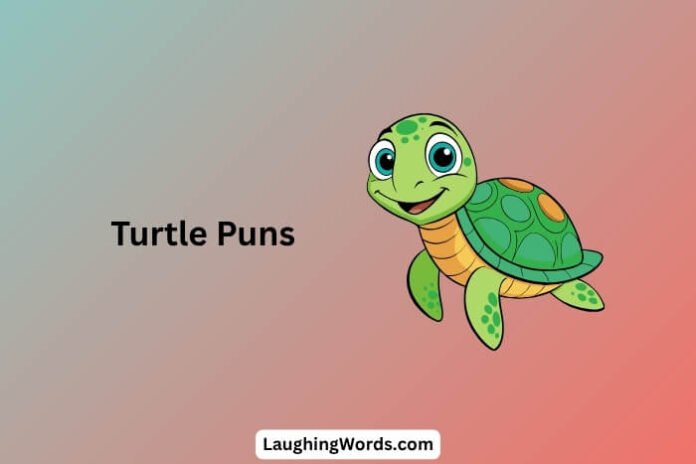 Turtle Puns