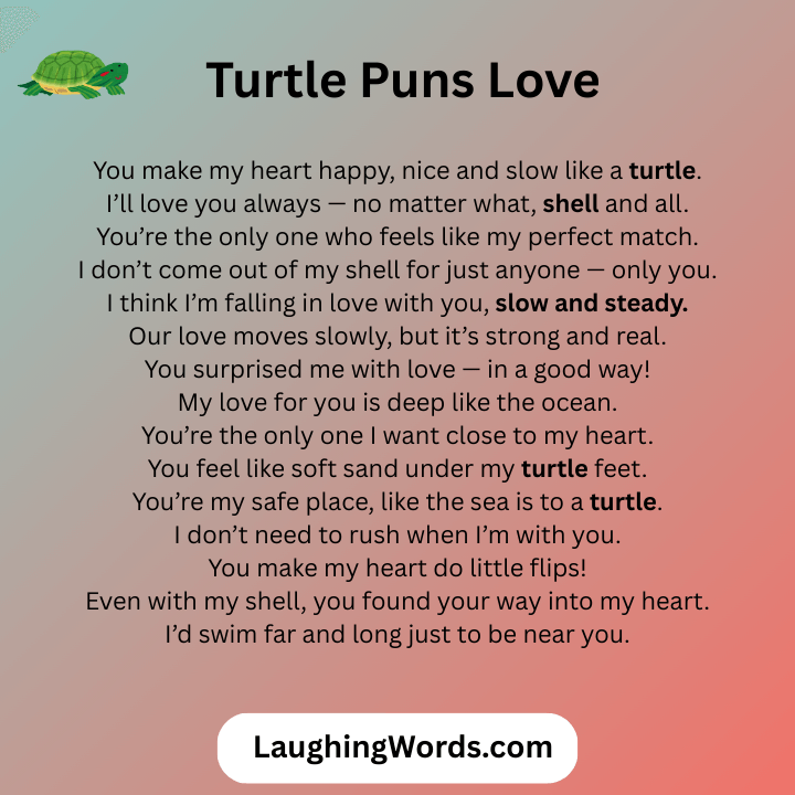 Turtle Puns Love