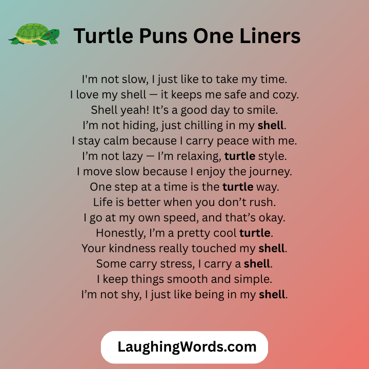 Turtle Puns One Liners