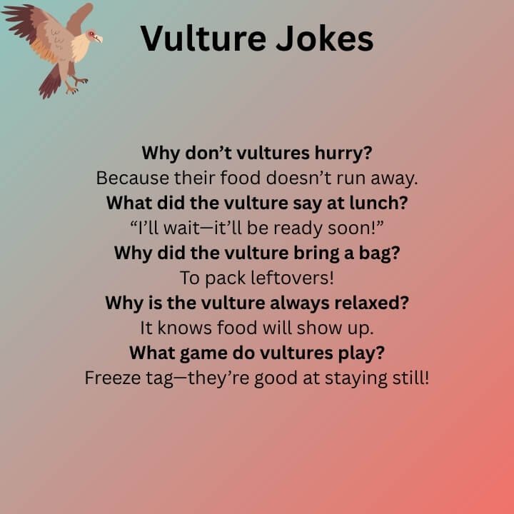 Vulture Jokes