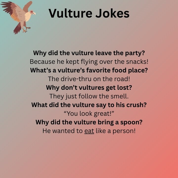 Vulture Jokes