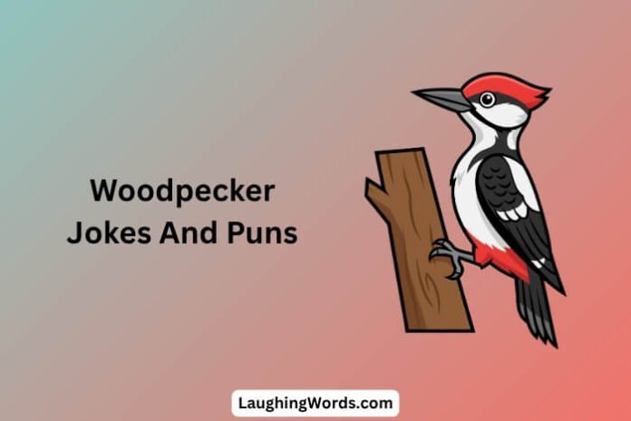 Woodpecker Jokes