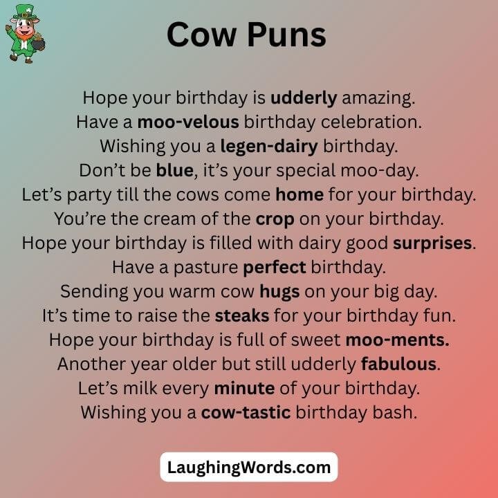 Birthday Cow Puns